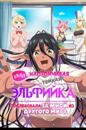 Слегка настойчивая тёмная эльфийка последовала за мной из другого мира (2025) Слегка настойчивая тёмная эльфийка последовала за мной из другого мира (2025)